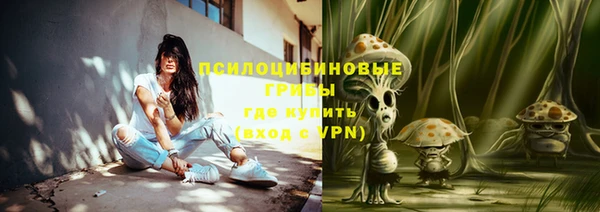 Альфа ПВП Гусь-Хрустальный
