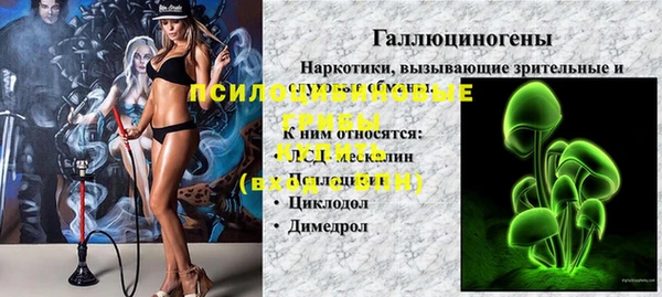 Альфа ПВП Гусь-Хрустальный