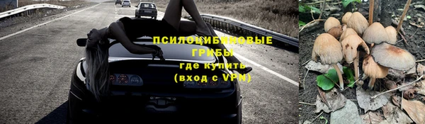 каннабис Гусев